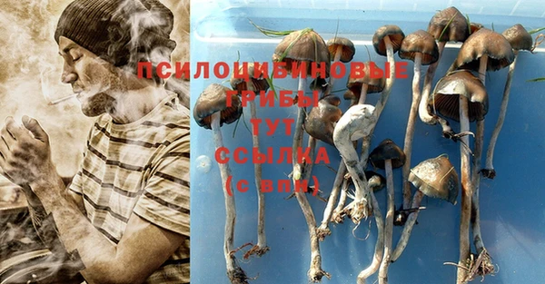 марихуана Володарск