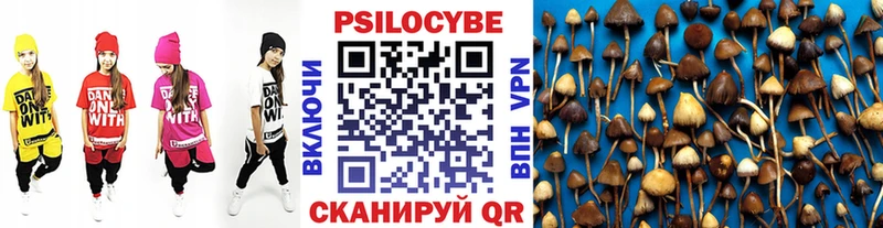 Галлюциногенные грибы MAGIC MUSHROOMS  купить наркоту  Волгодонск 